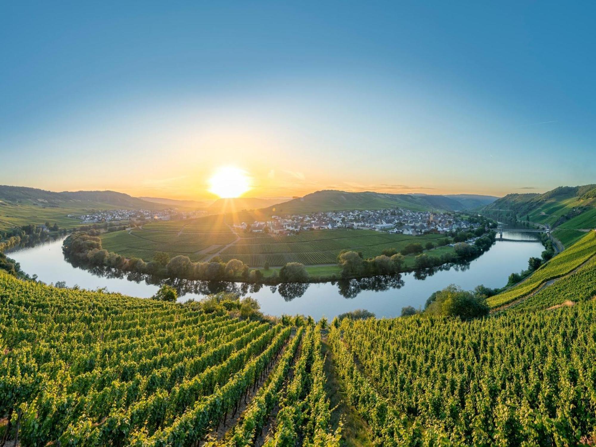 Holiday Apartment Near The Moselle With Terrace Wehr  Екстер'єр фото