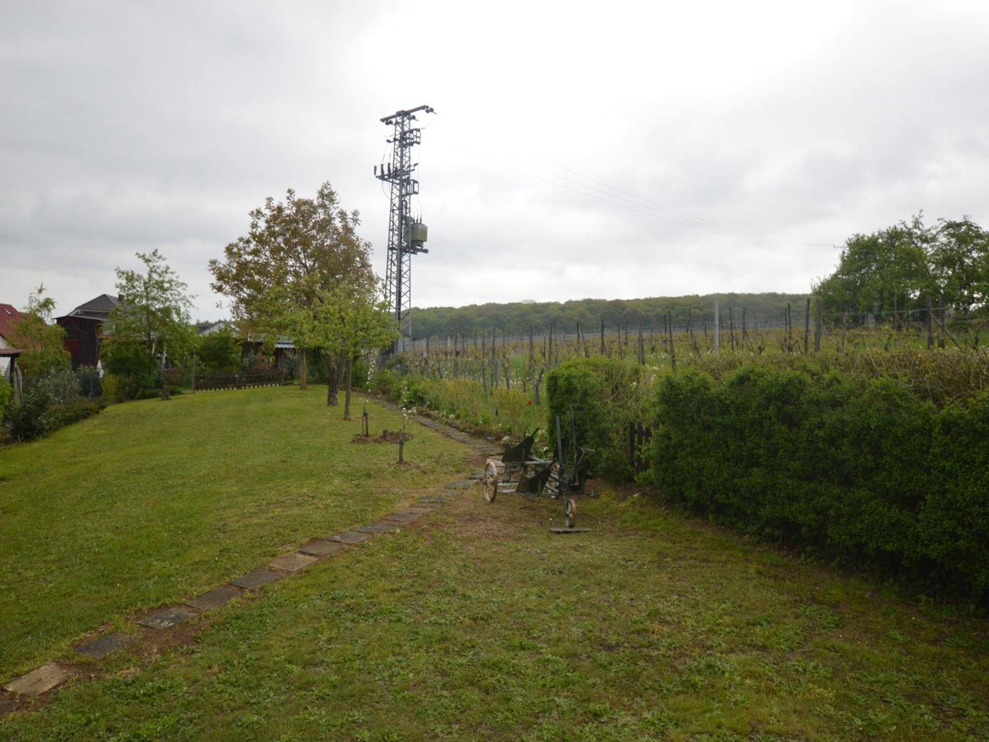 Holiday Apartment Near The Moselle With Terrace Wehr  Екстер'єр фото